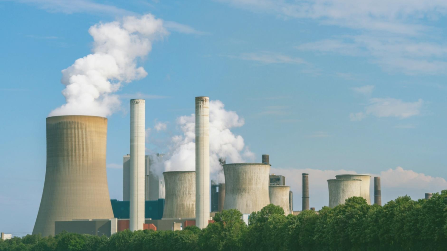 Профессиональное сообщество специалистов